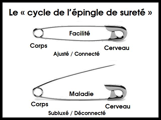 La chiropratique simplifiée